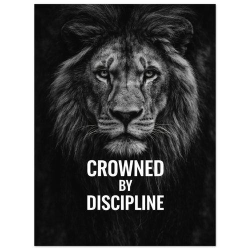 3a5b2557-67c1-48a5-be5f-ef3d6c4ef521